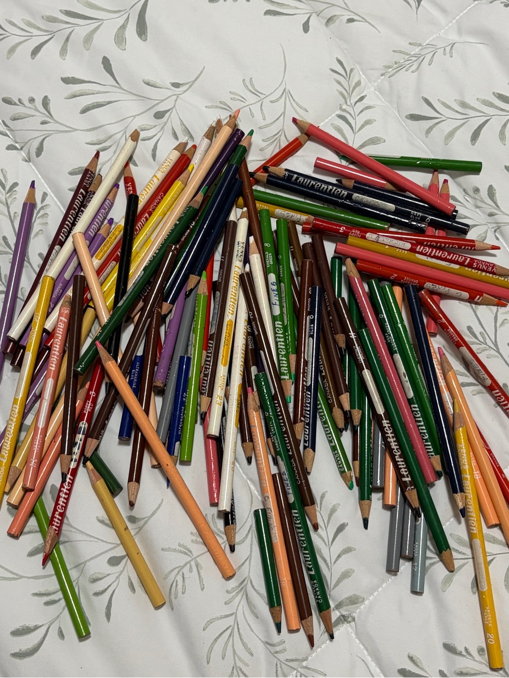 Vintage Laurentien Pencil Crayon Lot Of 100+ Pencils Art School Drawing Learning